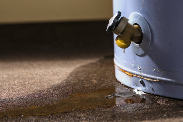 Best Basement water damage restoration  in Laurel, MT