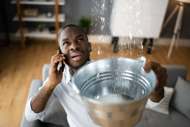 Best Water damage repair service  in Laurel, MT