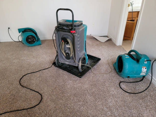Best 24-hour water damage restoration  in Laurel, MT