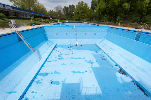 Best Professional water damage repair  in Laurel, MT