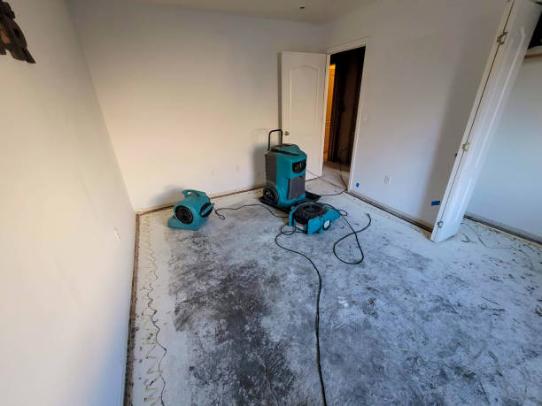 Best 24/7 water damage repair  in Laurel, MT