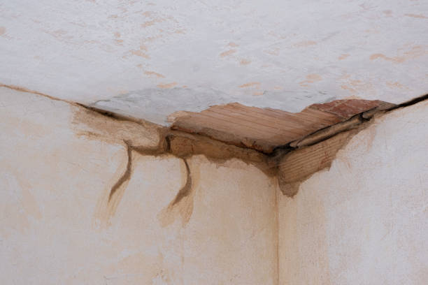 Best Water damage cleanup near me  in Laurel, MT