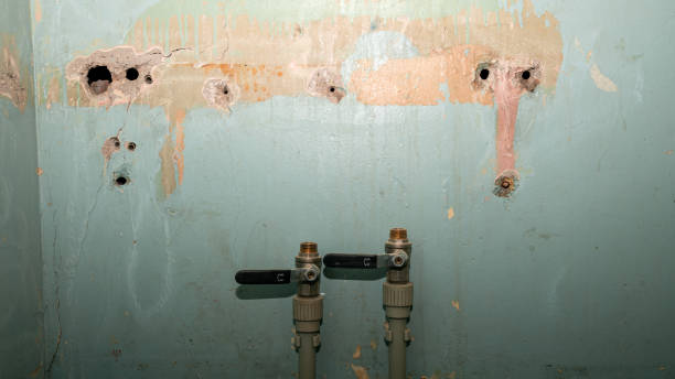 Best Fire Damage Restoration  in Laurel, MT