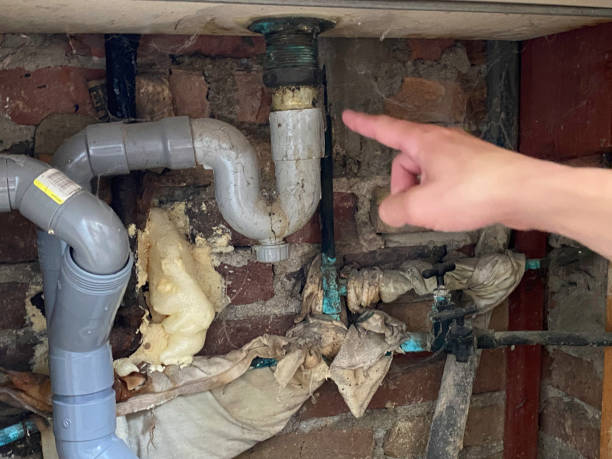 Trusted Laurel, MT Water damage restoration Experts