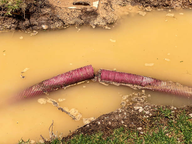 Best Residential water damage restoration  in Laurel, MT